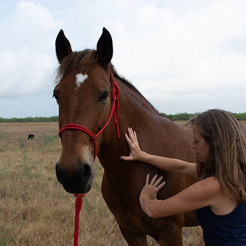 Woman and the Horse